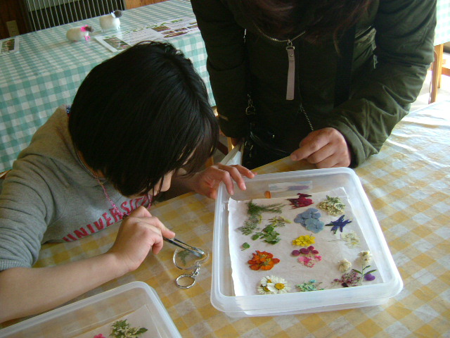 c0082567_093742.jpg