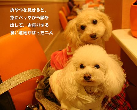 d0048067_23292368.jpg