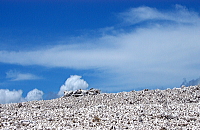 a0030168_16394078.jpg