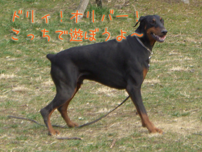 f0025769_20432359.jpg