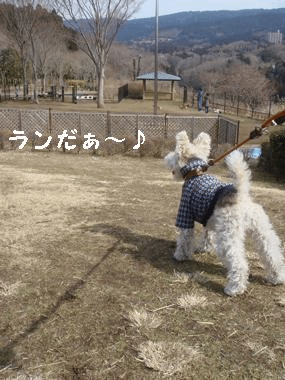 b0091373_0271529.gif