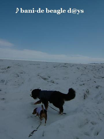 f0150377_19535634.jpg