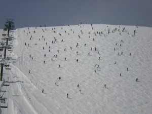 e0014678_1703442.jpg