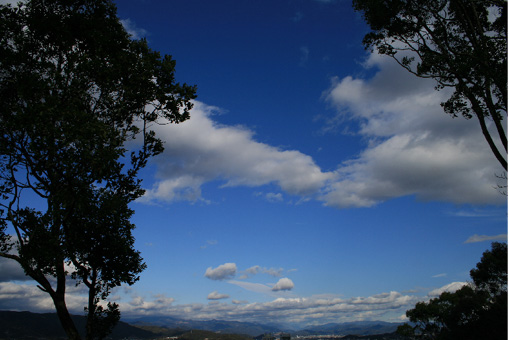 e0100589_22185478.jpg