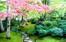 a0079292_19592228.jpg