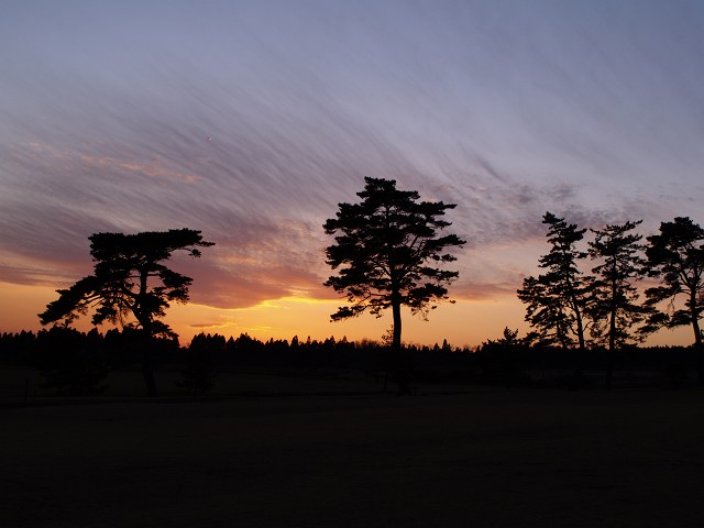 c0136092_23532360.jpg