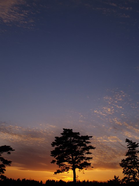 c0136092_23534968.jpg