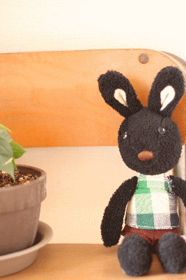 d0100192_22105867.gif