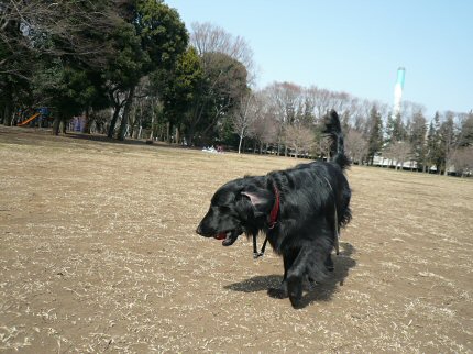 c0050400_1544726.jpg
