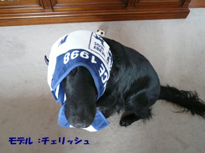 c0050400_1552145.jpg