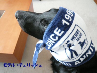 c0050400_155545.jpg