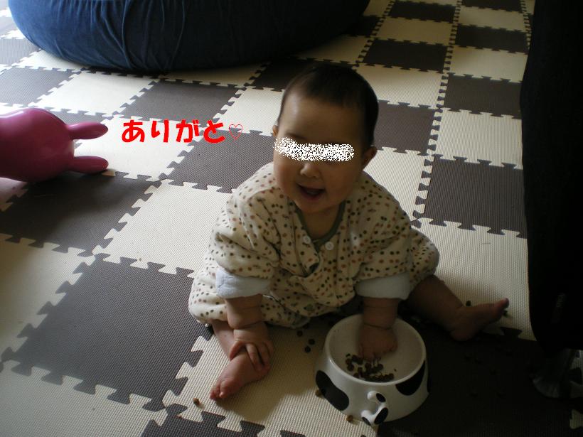 c0141900_913625.jpg
