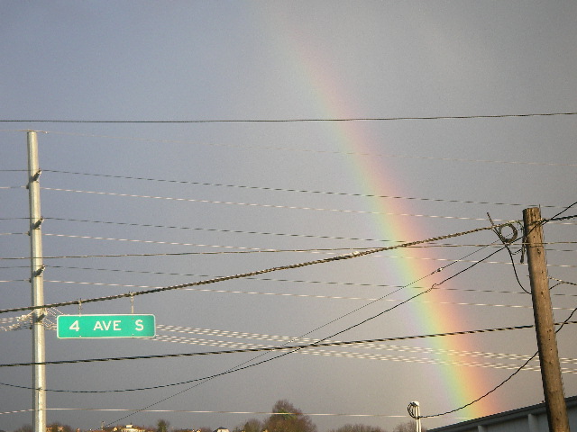 e0061902_253786.jpg