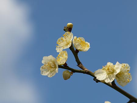 a0041508_2121089.jpg