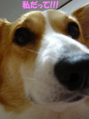 c0153410_14181362.jpg
