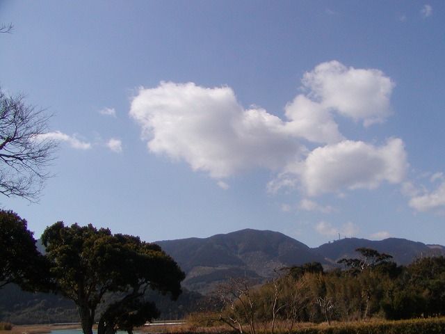 d0037110_1162771.jpg
