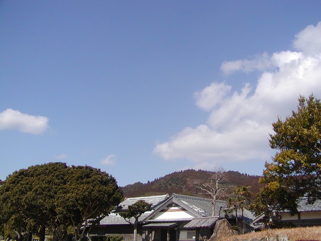 d0037110_1173015.jpg