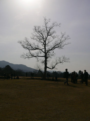 d0063216_1819242.jpg