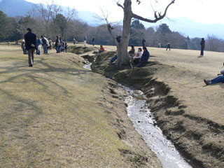 d0063216_18193397.jpg