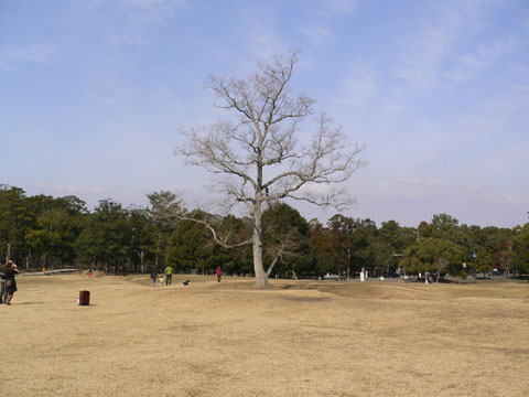 d0063216_18253754.jpg