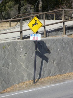 d0063216_18255996.jpg