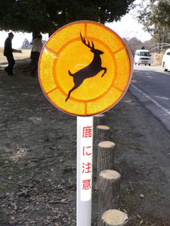 d0063216_18261662.jpg