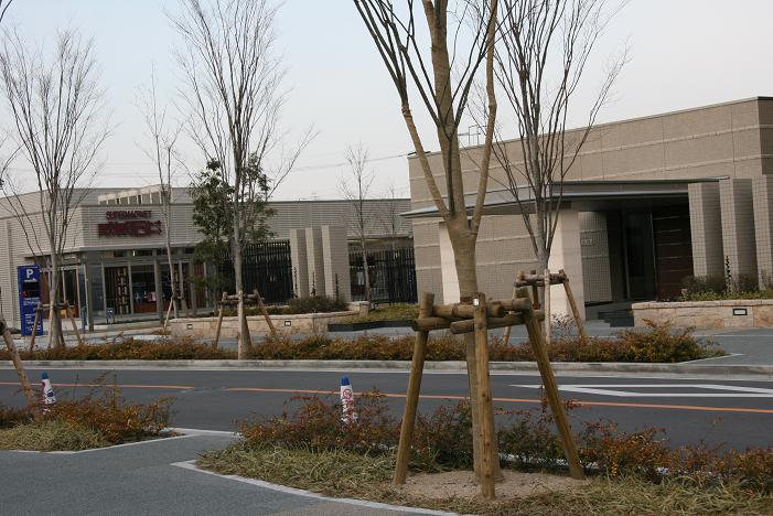 f0124830_23555730.jpg