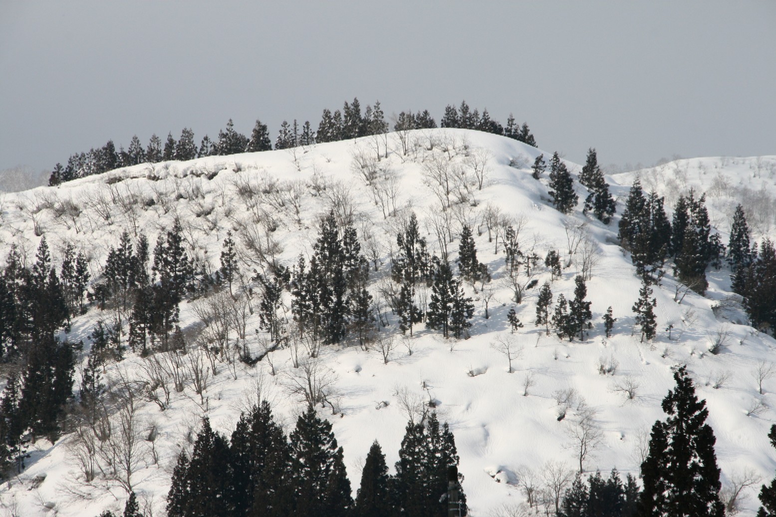d0140533_20351568.jpg