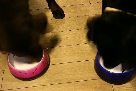 c0156438_10174254.jpg