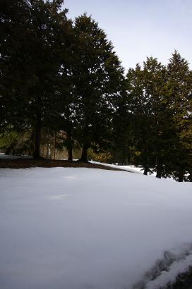 d0053940_15345467.jpg