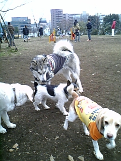 e0143442_2231568.jpg