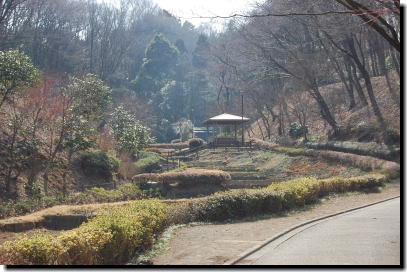花菖蒲園