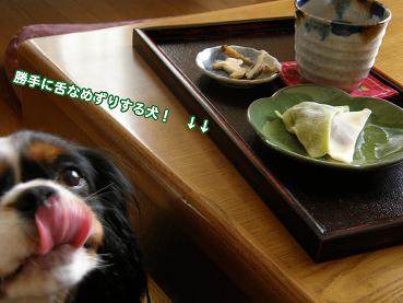 c0145250_135060.jpg