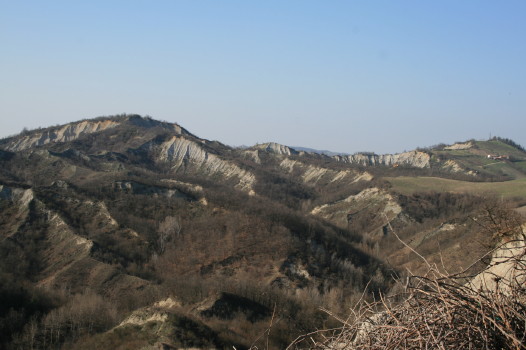 f0077159_7121767.jpg