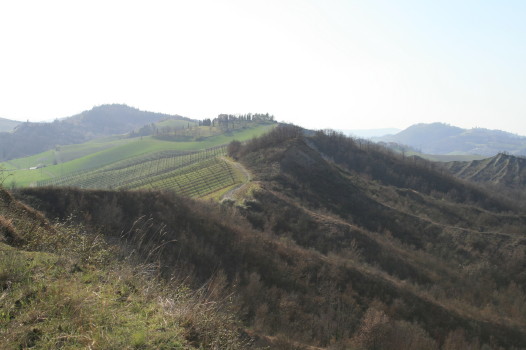 f0077159_7124184.jpg