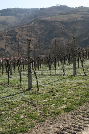 f0077159_7141495.jpg