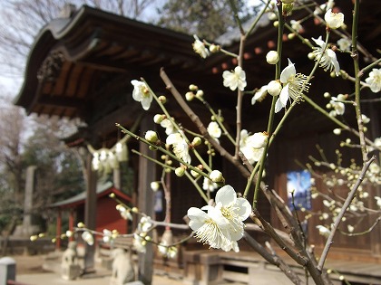 b0059860_16313614.jpg