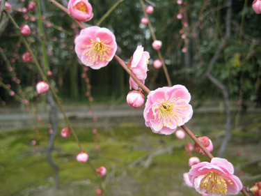 c0117570_15534599.jpg