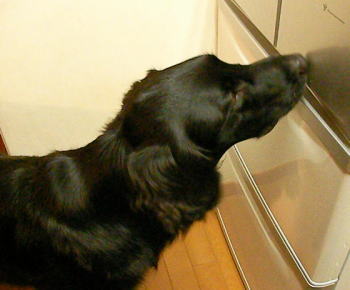 f0045283_2319411.jpg