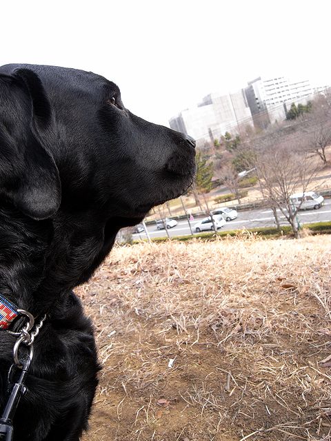 a0093592_23272568.jpg