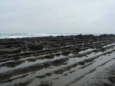 e0112098_1415359.gif