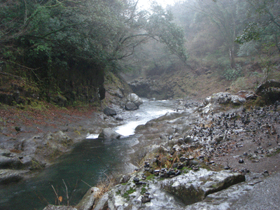 e0112098_14275170.gif