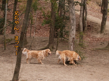 d0080601_11581398.jpg