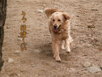 d0080601_1204930.jpg