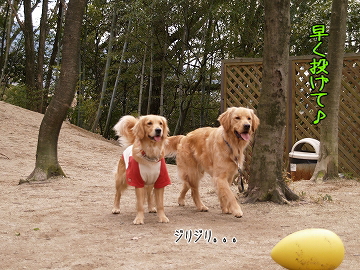 d0080601_12151224.jpg