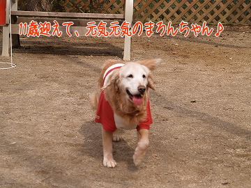 d0080601_121529.jpg