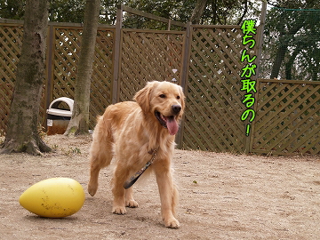 d0080601_12153362.jpg