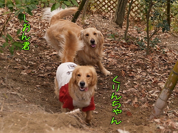 d0080601_12162238.jpg