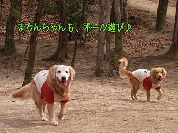 d0080601_12182029.jpg