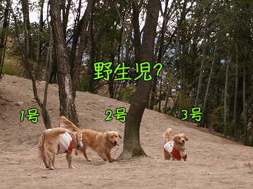 d0080601_12202536.jpg